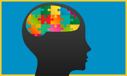 cerveau cerveau