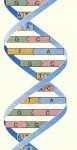 espoir diagn trait espoir diagn trait