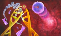 genes genes