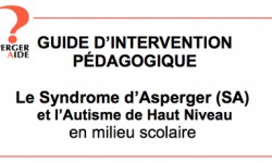 guideintervention aspergeraide guideintervention aspergeraide