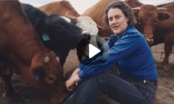 temple-video temple-video