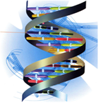 variants genetique variants genetique